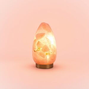 Himalayan Salt Lamp