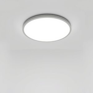 Smart LED Ceiling Light